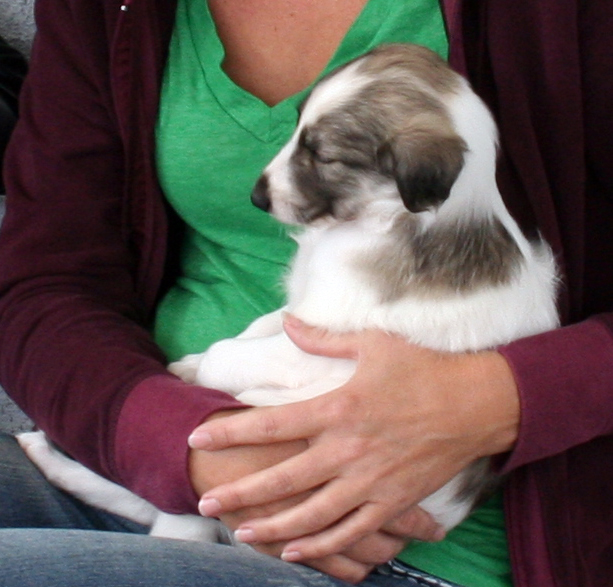 Surf Spots - Girl 2 Party